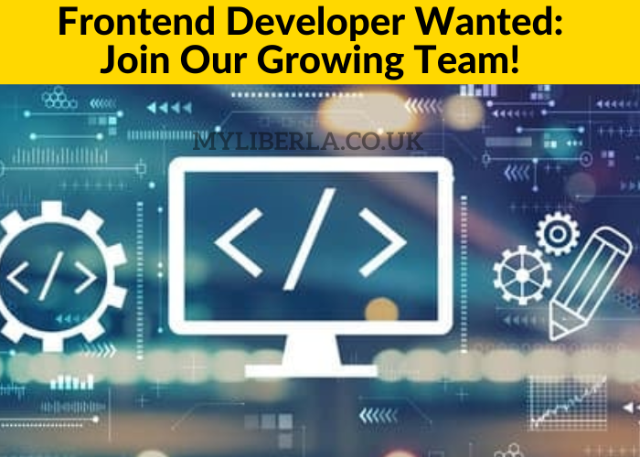 Frontend Developer Arıyoruz