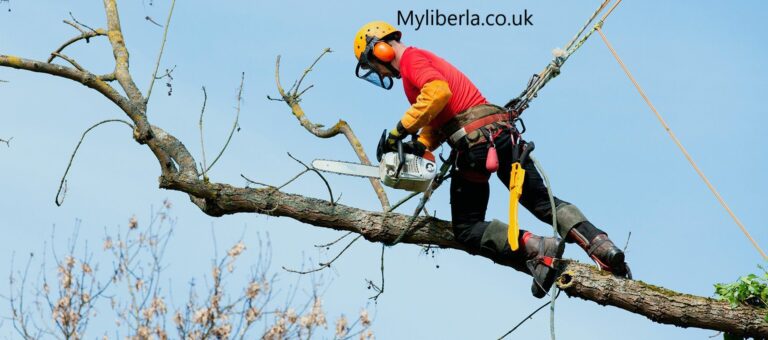 Tree Surgeon: The Expert Care Your Trees Deserve